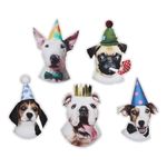 Bordsdekorationer Party Hund