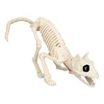 Dyreskjelett Katt Prop