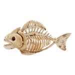 Fisk Skelet Rekvisit