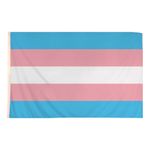 Flag Transgender