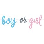 Guirlande Gender Reveal Boy or Girl