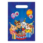 Slikposer Paw Patrol™ Party