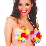 Hawaii BH