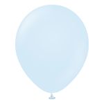 Balloner Professional Store Macaron Baby Blue