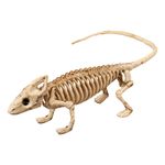 Leguan Skelet Rekvisit