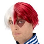 My Hero Academia Shoto Todoroki Paryk