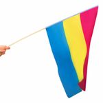 Panflag på Pind 40x60 cm
