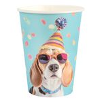 Papkrus Party Hund