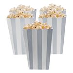 Popcornbægre Sølv Stribede