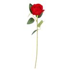 Rød Rose i Plastik