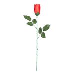 Rød Rose