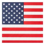Lautasliinat American Party