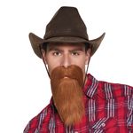 Skæg Cowboy