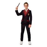 Suitmeister Teen Harry Potter Gryffindor Kostume