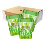 Sundlings Candyfloss Sour Apple Økonomipakke