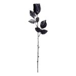 Sort Rose