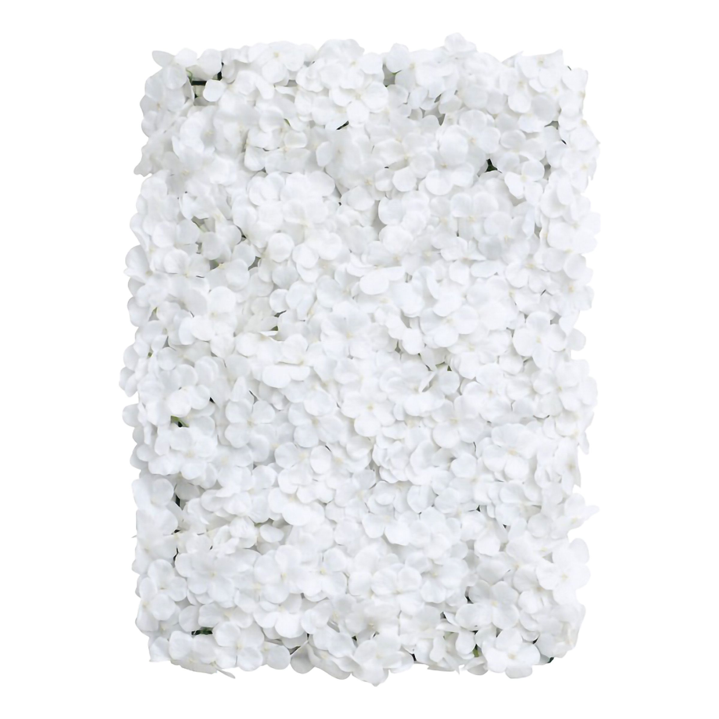 Backdrop Hortensia Vit | Hem - Teman - Färger - Vit | Pryloteket