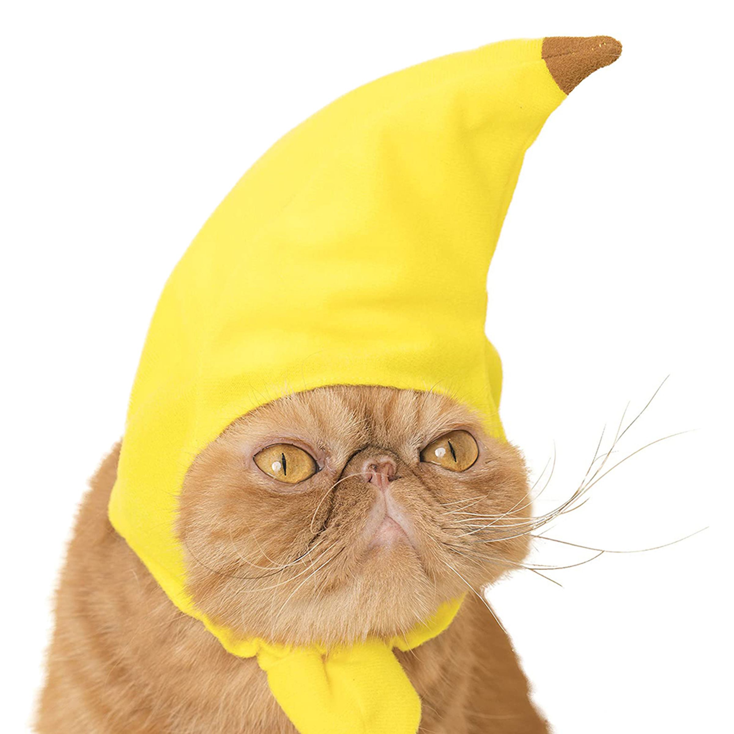 Bananhatt för Katt - One size | Hem - Maskerad - Maskeraddräkter - Dräkter till Hundar | Pryloteket