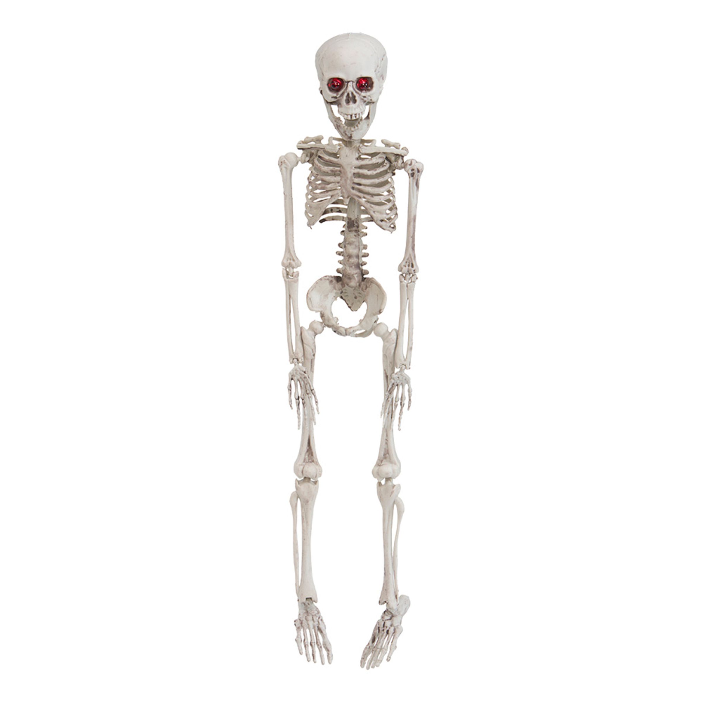 Mini-skelet rekvisit