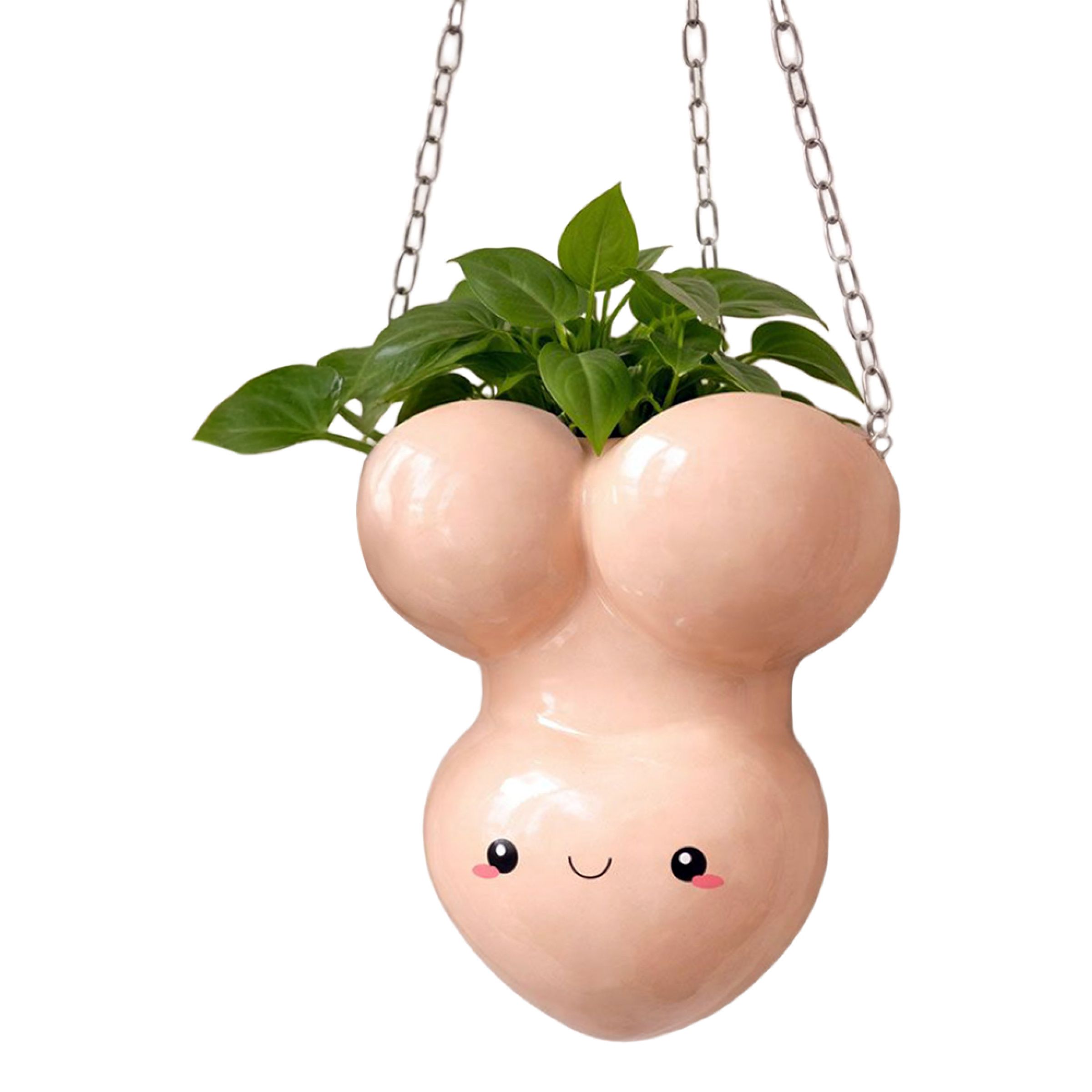 Blomsterkrukke Penis billede
