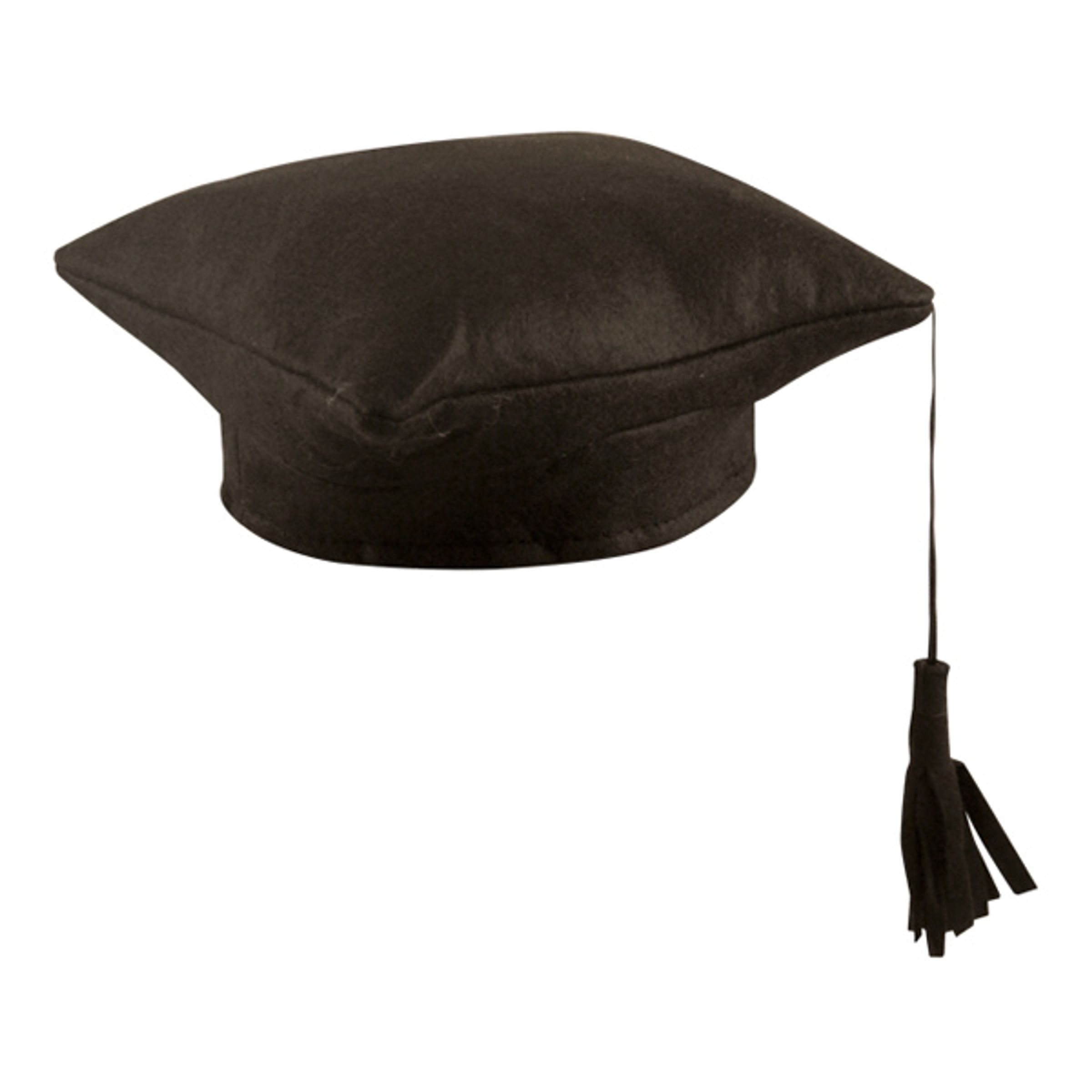 Examenshatt Mjuk - One size | Hem - Maskerad - Hattar | Pryloteket