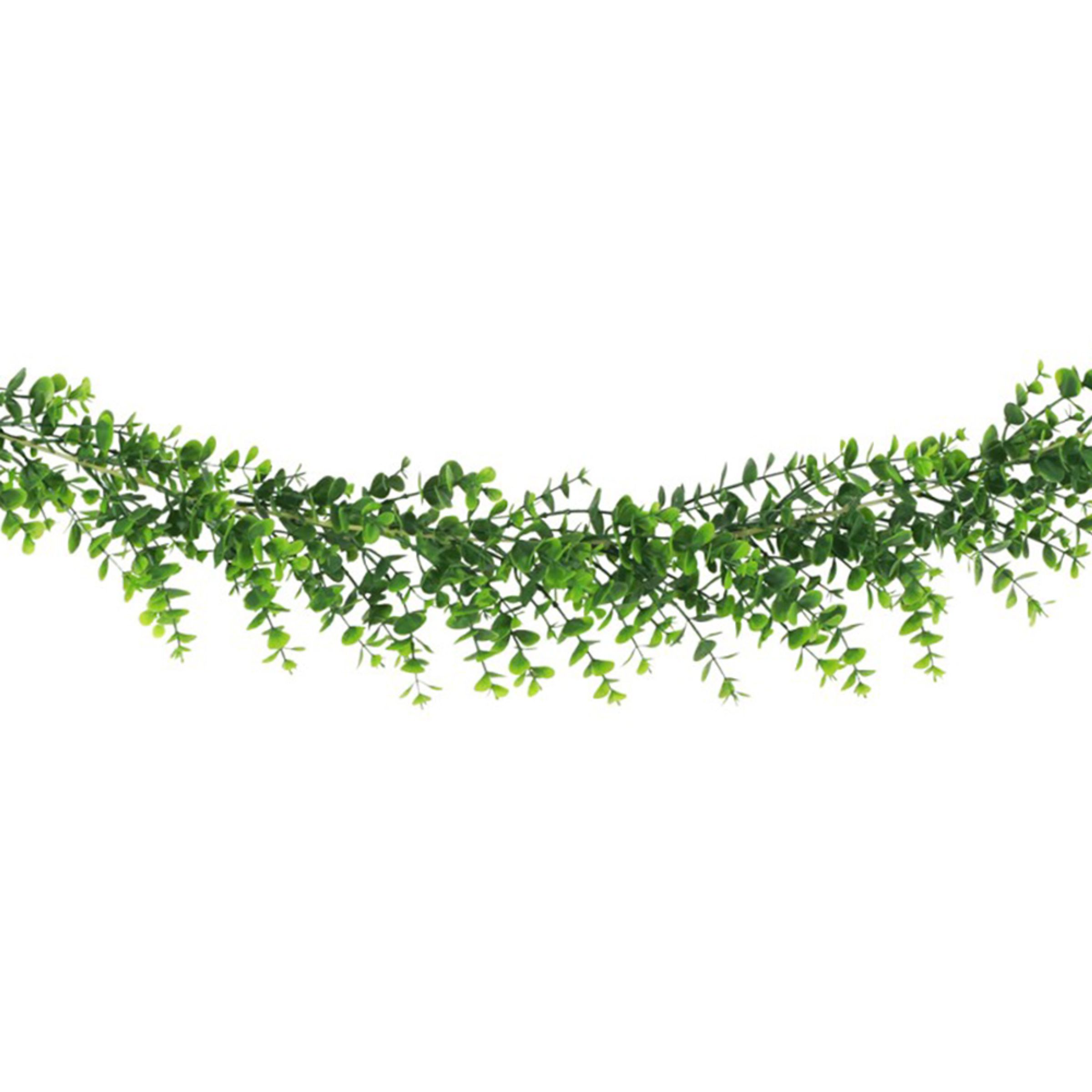 Girlang Eukalyptus | Hem - Festartiklar - Festdekoration - Girlanger | Pryloteket