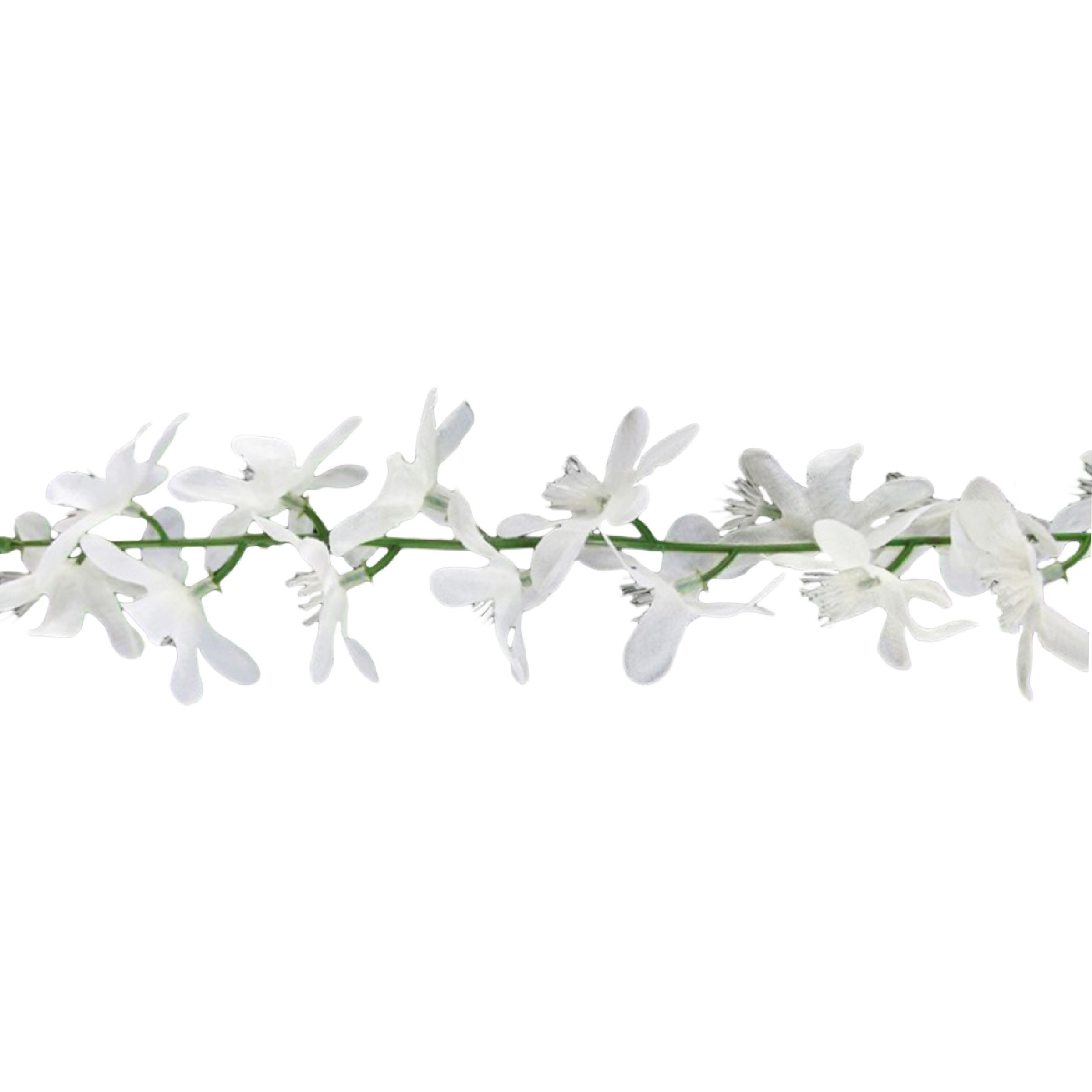 Girlang Jasminblommor | Hem - Festartiklar - Festdekoration - Girlanger | Pryloteket
