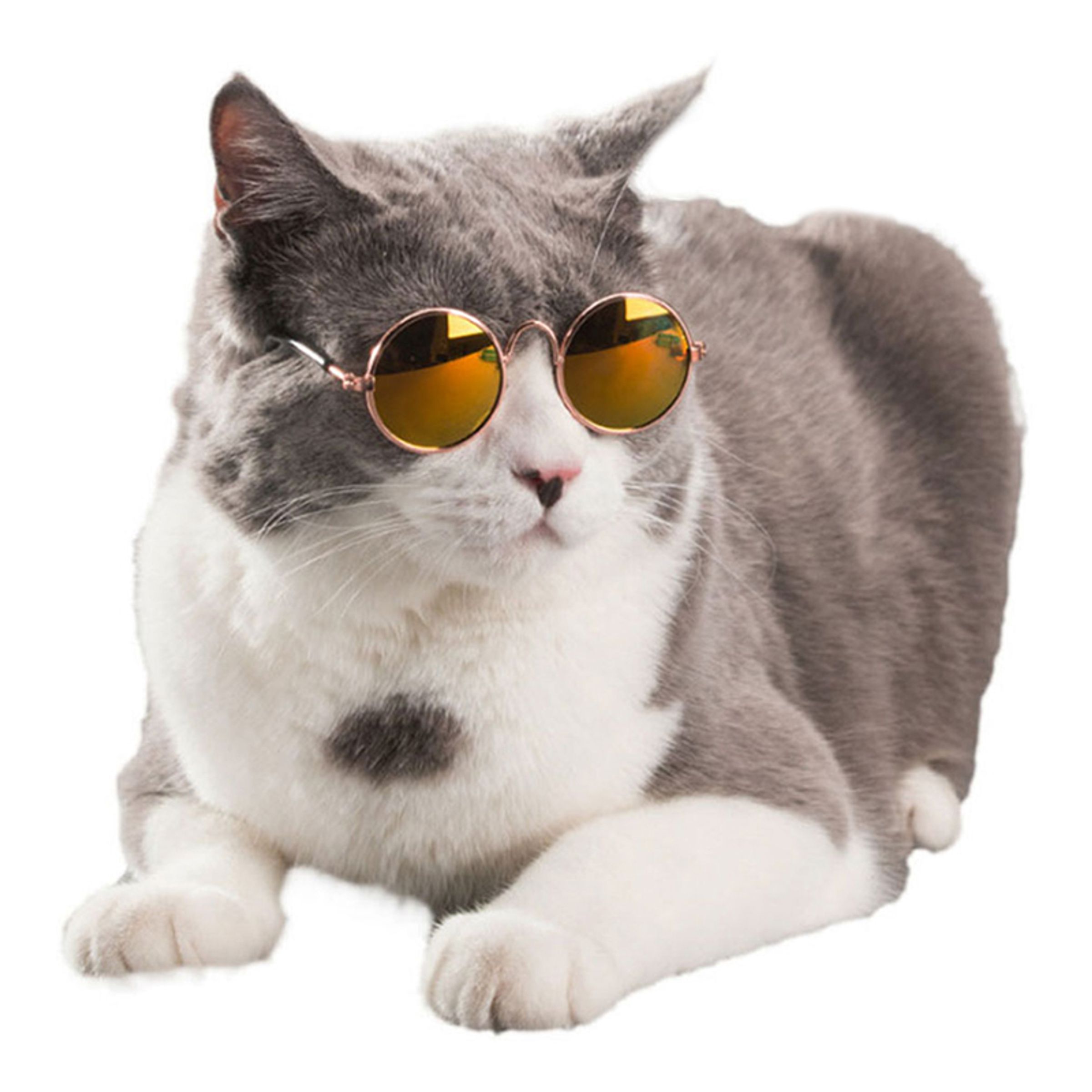 Glasögon till Katt/Hund - Gul | Hem - Roliga Prylar - Skämtartiklar & Pranks | Maskeradspecialisten