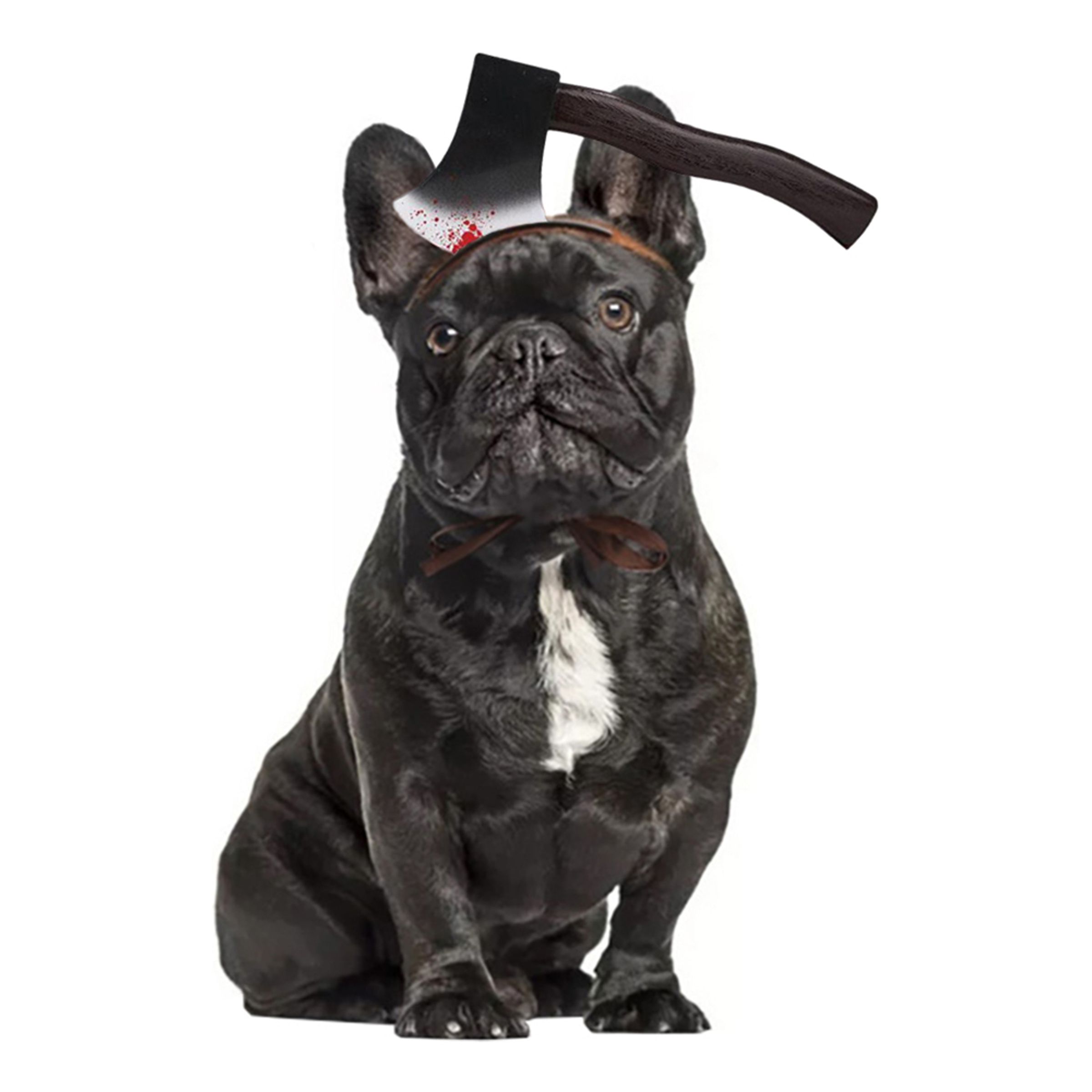 Halloween Props för Hund - Yxa | Hem - Maskerad - Tillbehör - Maskeradaccessoarer | Pryloteket