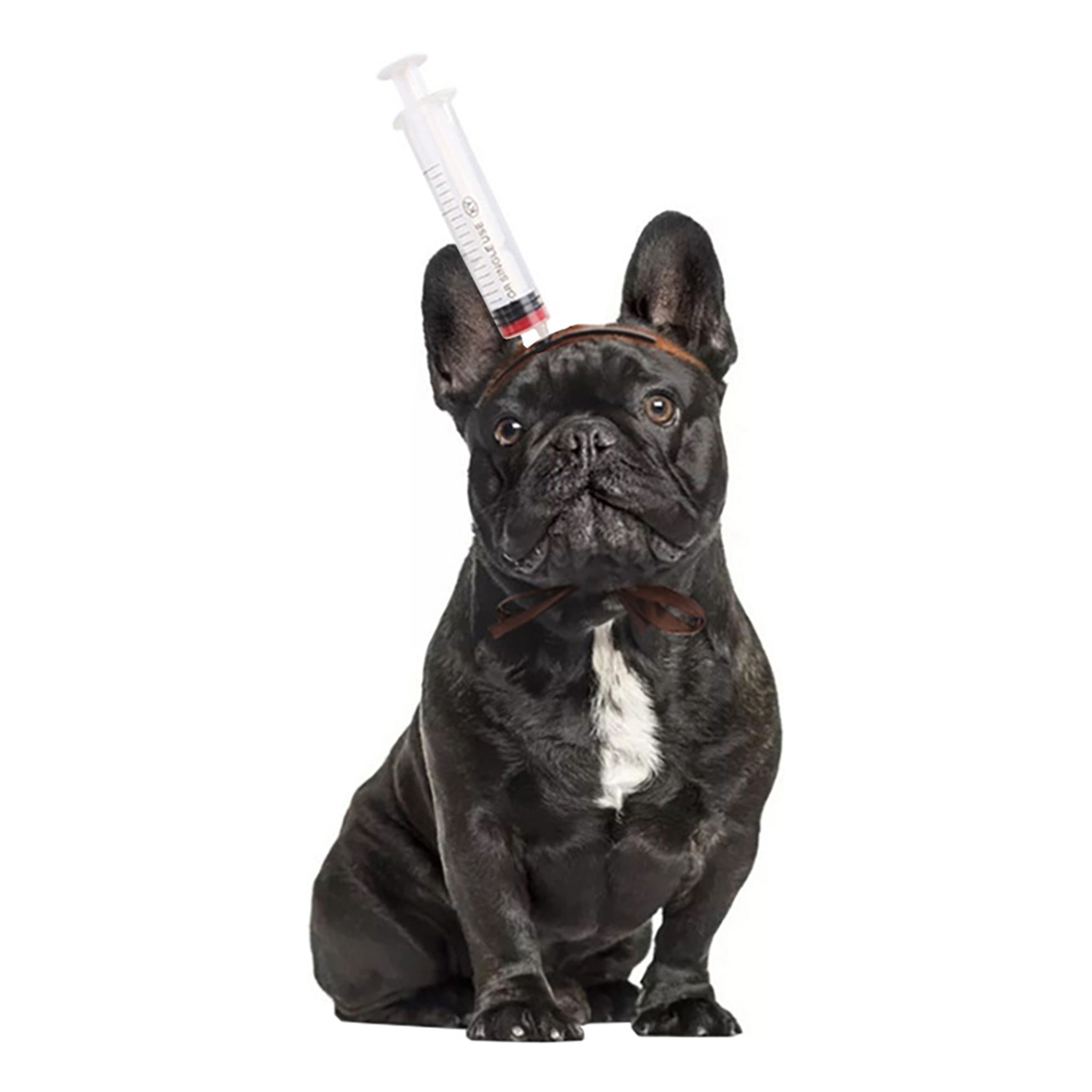 Halloween Props för Hund - Spruta | Hem - Maskerad - Tillbehör - Maskeradaccessoarer | Pryloteket