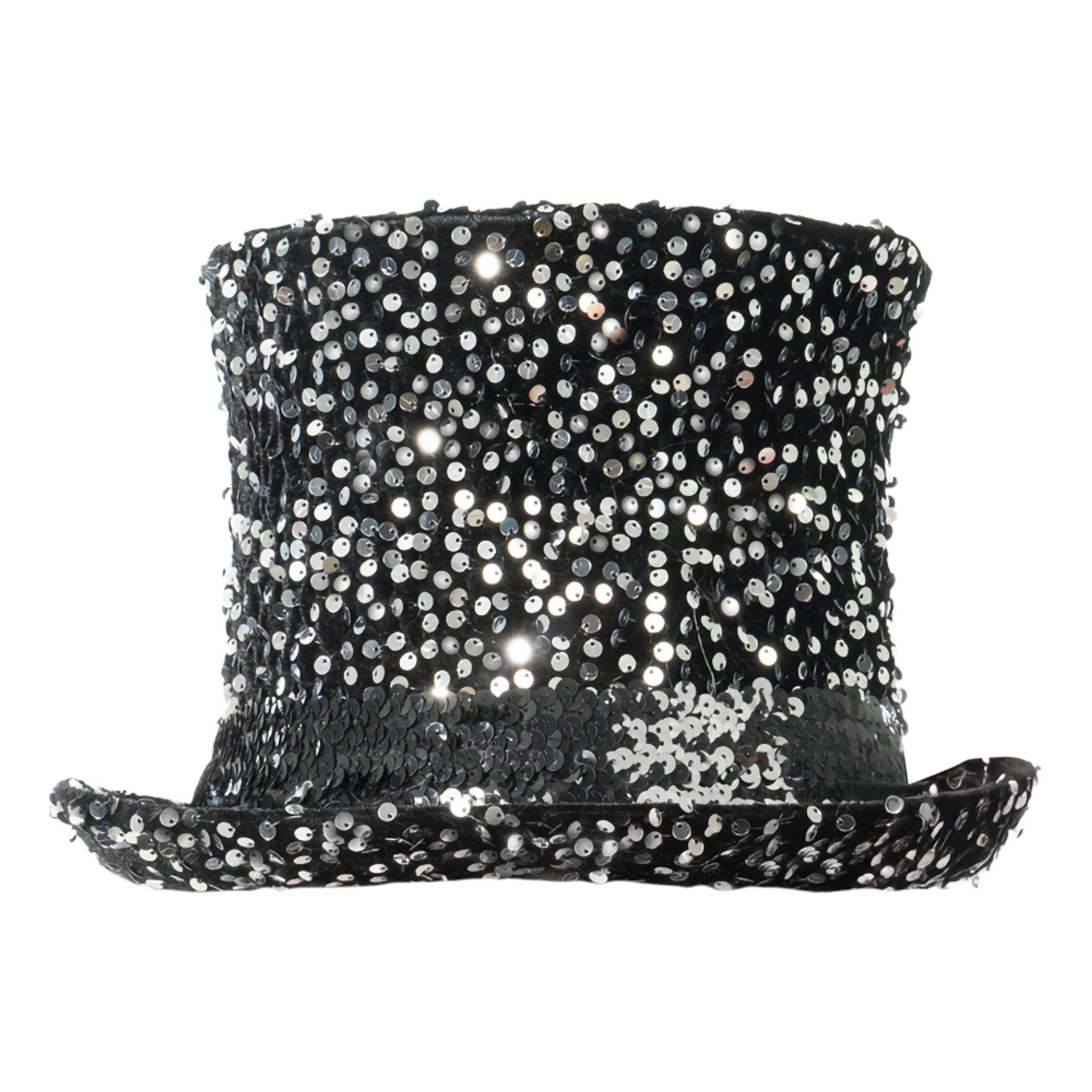 Höghatt med Paljetter Silver - One size | Hem - Maskerad - Hattar - Vuxenhattar | Pryloteket