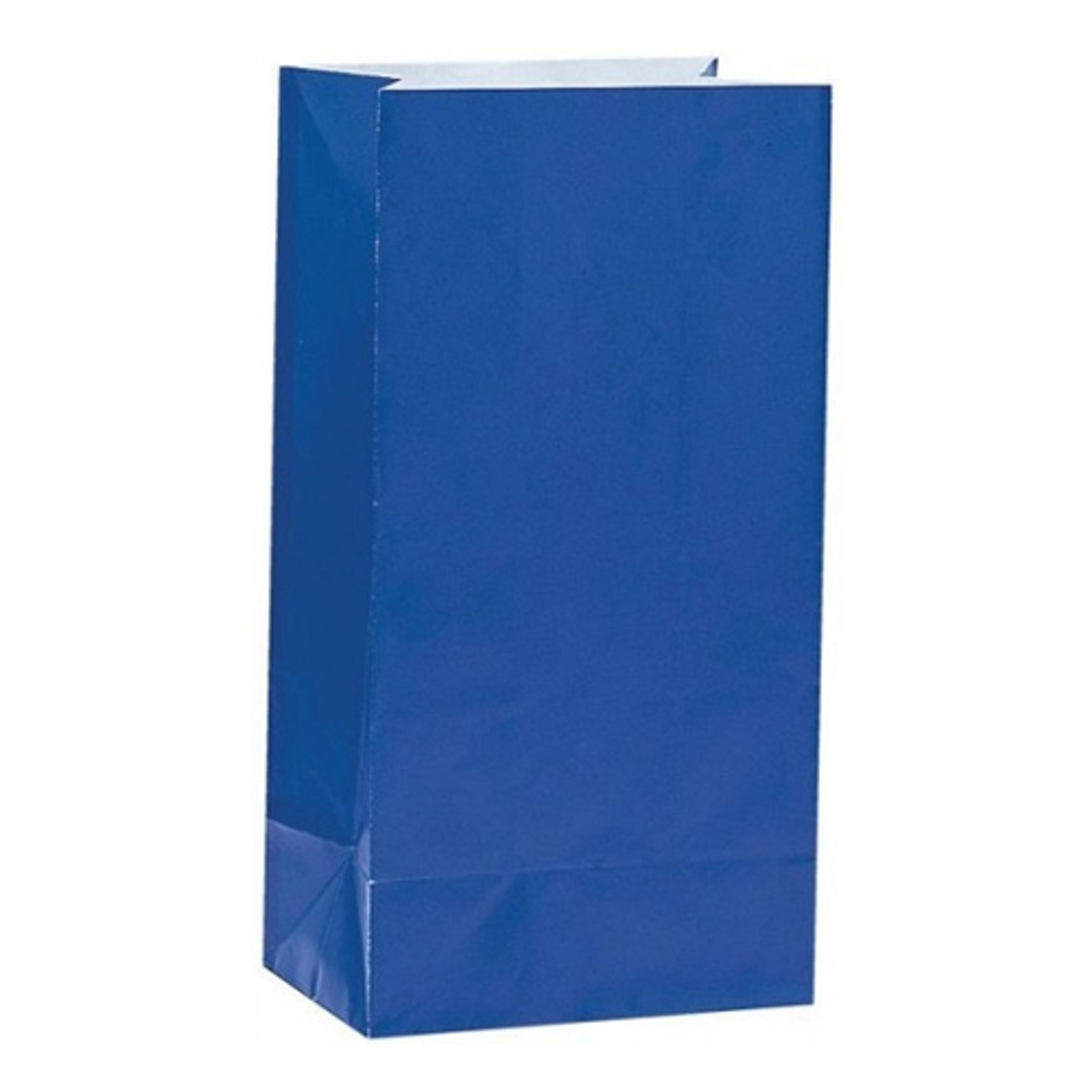 Kalaspåsar Blå - 12-pack | Hem - Festartiklar - Kalastillbehör - Kalaspåsar | Pryloteket