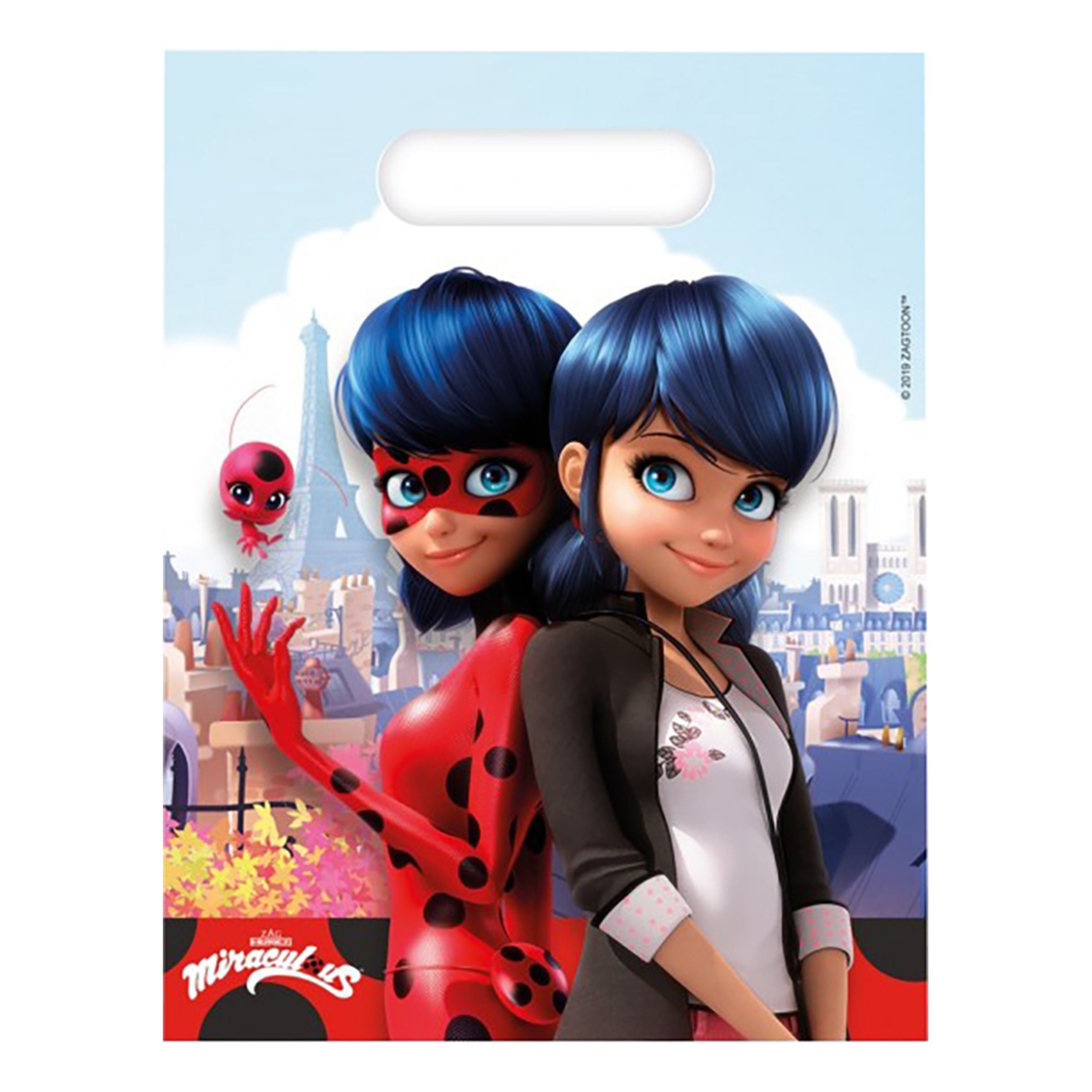 Kalaspåsar Ladybug - 6-pack | Hem - Festartiklar - Kalastillbehör - Kalaspåsar | Pryloteket