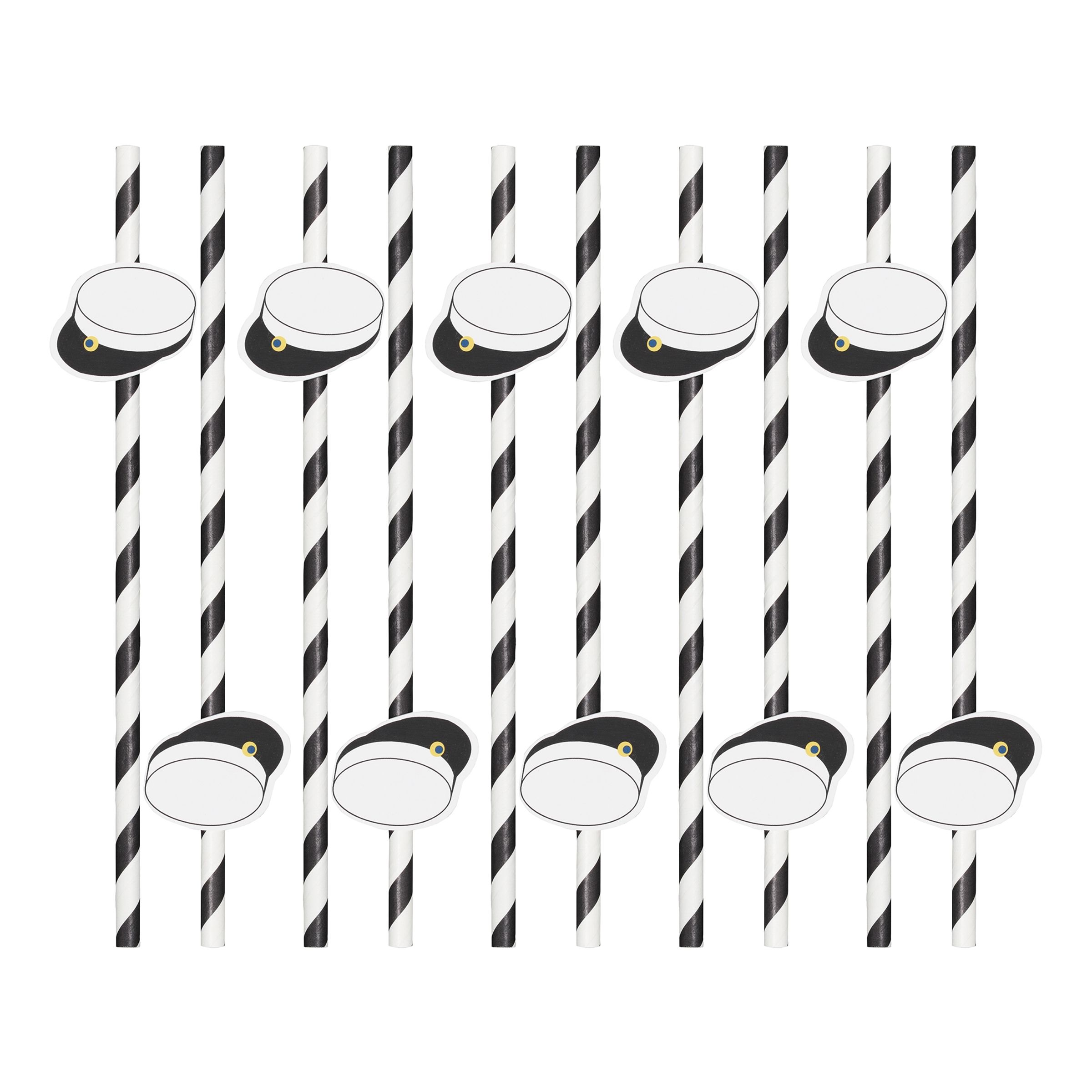 Papperssugrör Studenthattar - 10-pack | Hem - Bartillbehör - Drinktillbehör - Sugrör - Papperssugrör | Party Outlet
