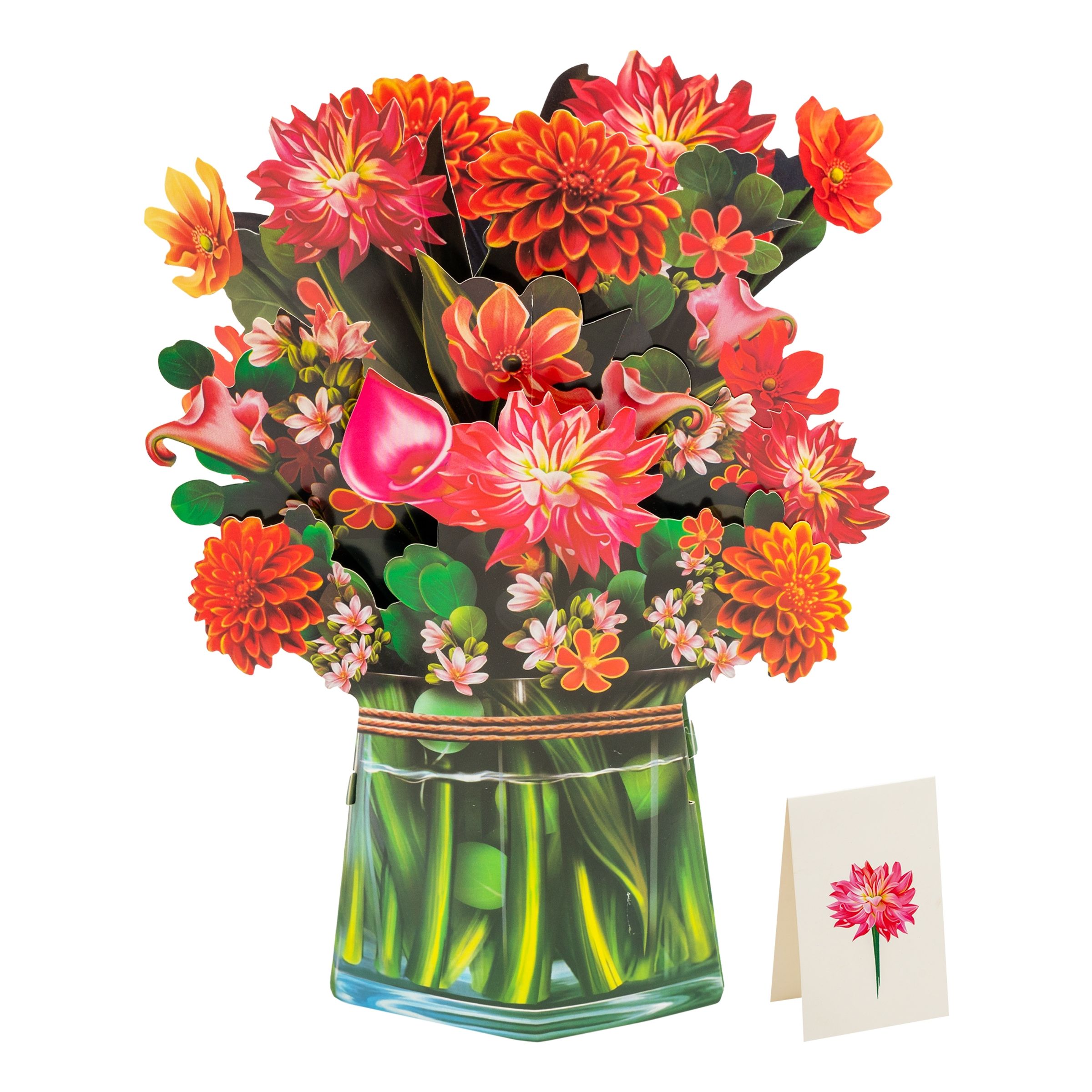 Pop Up-Kort Blomster - Dahlia