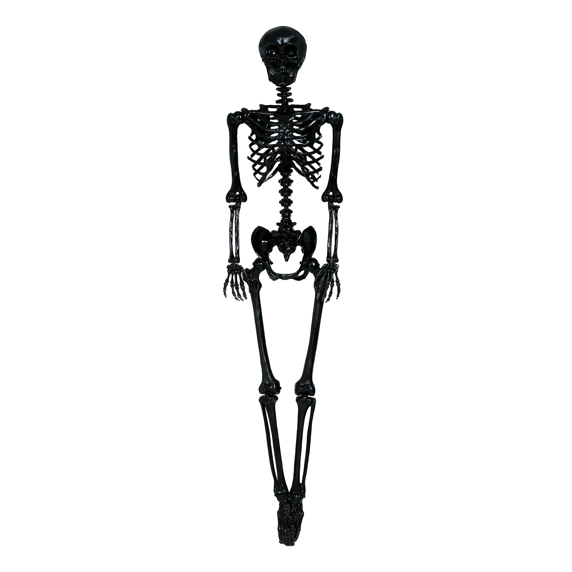 Skelet Sort Prop - 160 cm