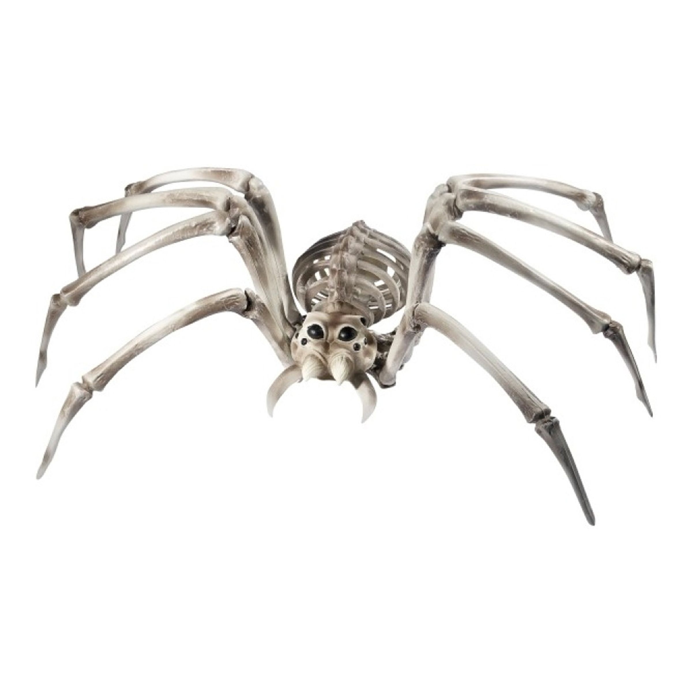 Jättespindel Skelett Prop | Hem - Maskerad - Dekor & Rekvisita - Props | Party Outlet