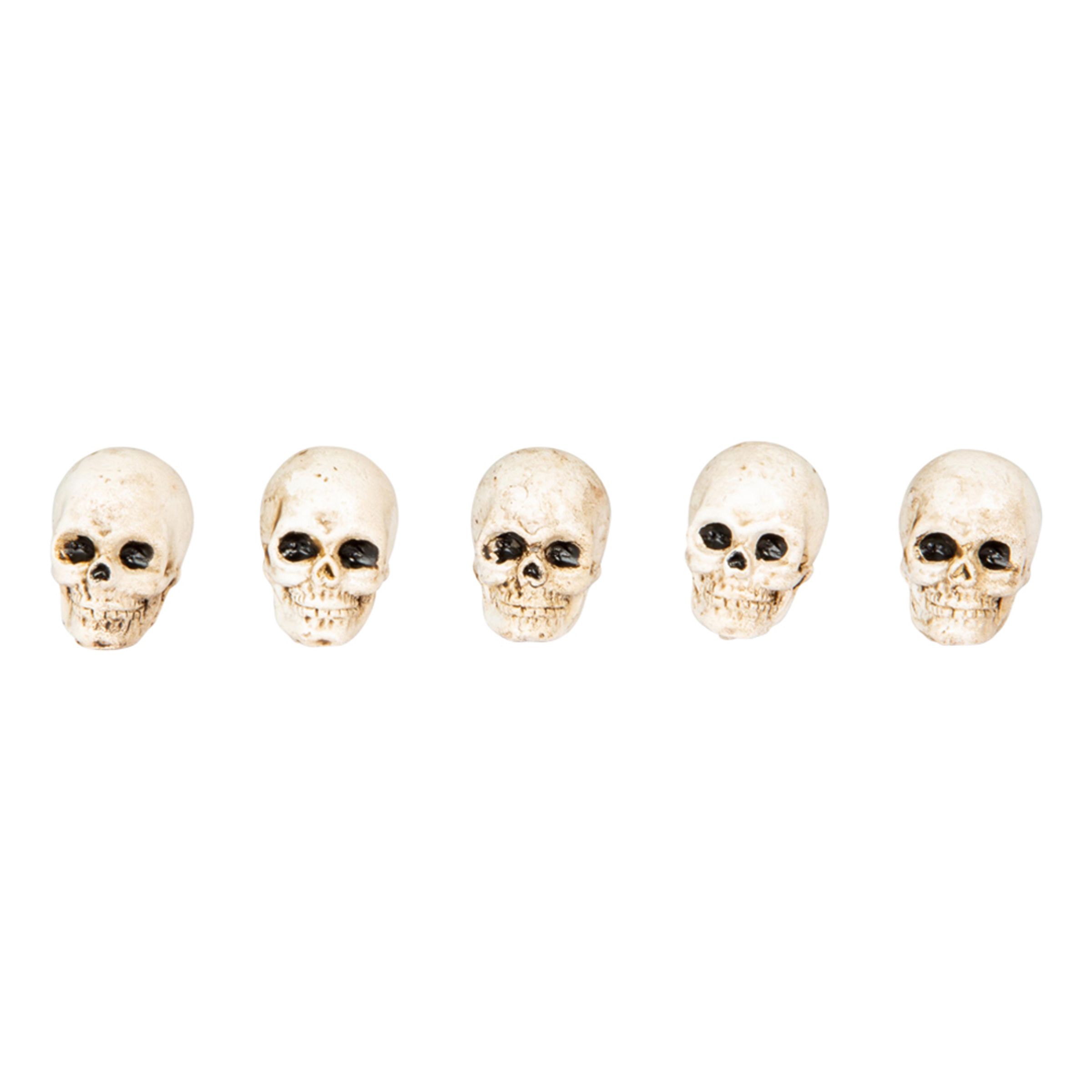 Små Dödskallar i Plast - 5-pack | Hem - Teman - Högtider - Halloween - Halloweendekorationer | Maskeradspecialisten