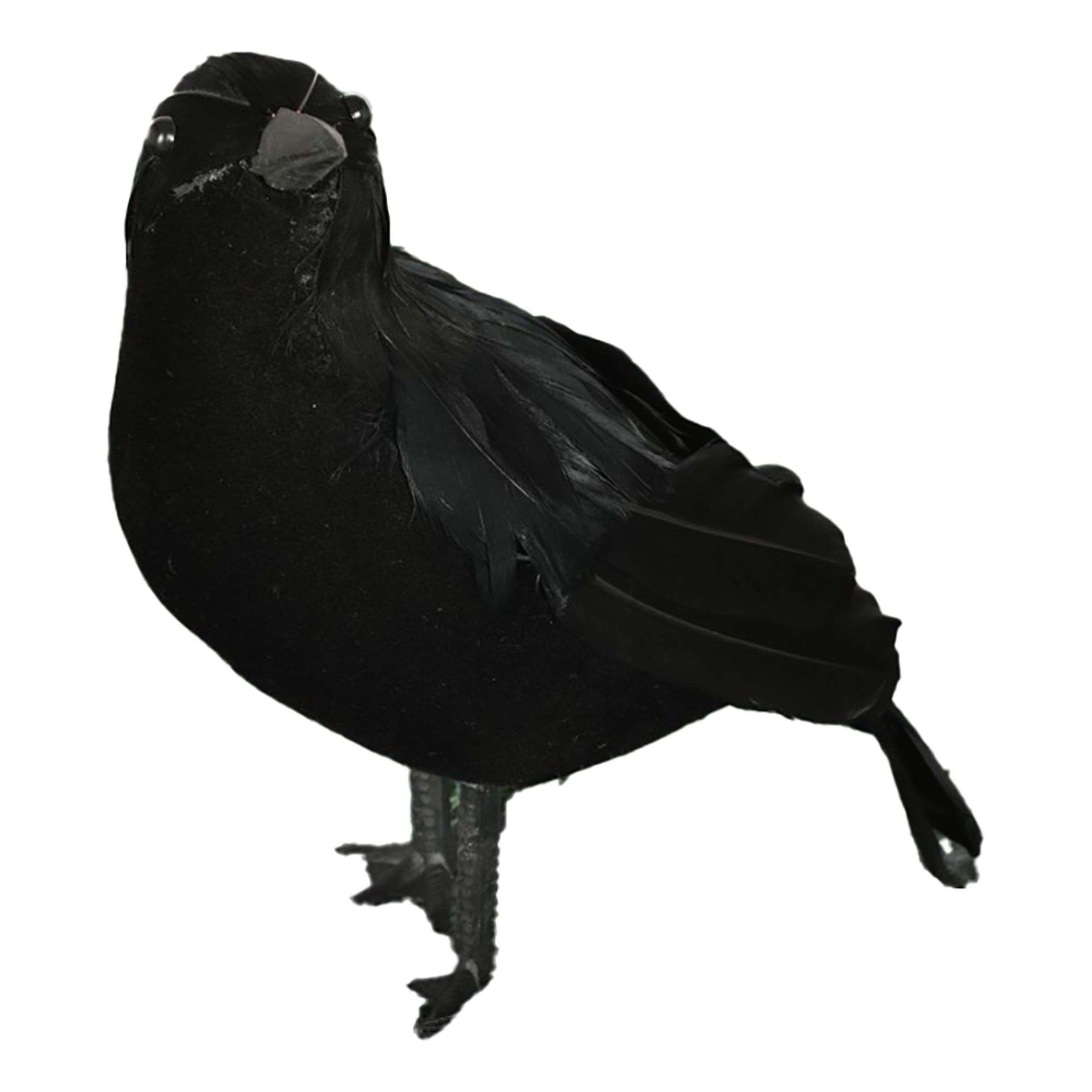 Svart korp Dekoration | Hem - Teman - Högtider - Halloween - Halloweendekorationer | Maskeradspecialisten