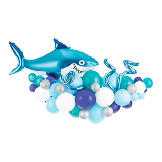 Ballonbue Hav/Haj