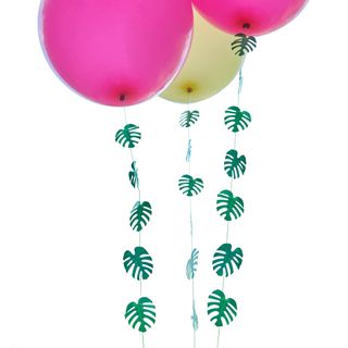 Ballonhaler Hawaii