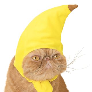 Bananhat til Katte