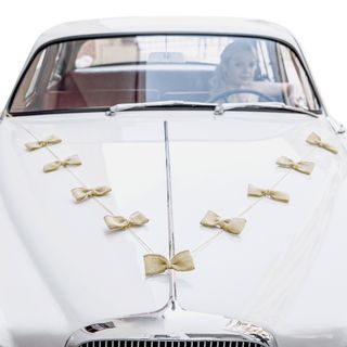 Bilpynt Bryllup Kit