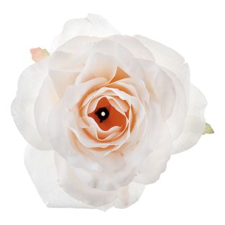 Bordsdekoration Rose Elfenben