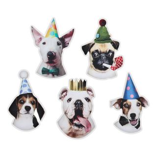 Bordsdekorationer Party Hund
