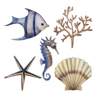 Borddekorationer Shellfish