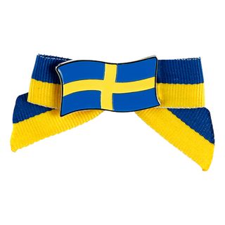Broche med roset svenske flag