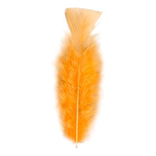 Fjer Orange