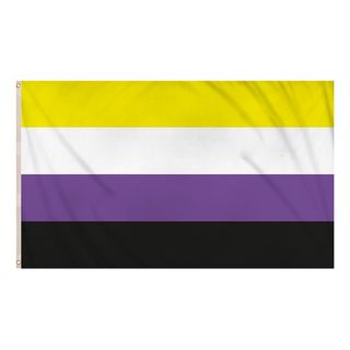 Flag Nonbinary Pride