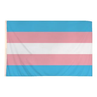 Flag Transgender
